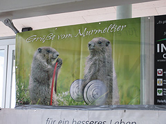 Foto vom Bergzeitfahren Bobbahn Winterberg 2011 - 51404