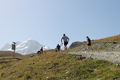 Foto vom Matterhornlauf Zermatt 2011 - 59186