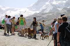 Foto vom Matterhornlauf Zermatt 2011 - 59923
