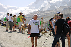 Foto vom Matterhornlauf Zermatt 2011 - 60113