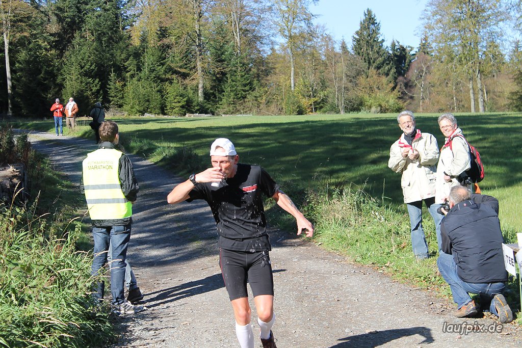 Rothaarsteig-Marathon 2011 - 82