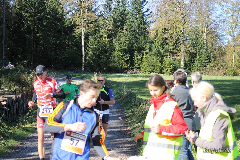 Rothaarsteig-Marathon 2011 - 151