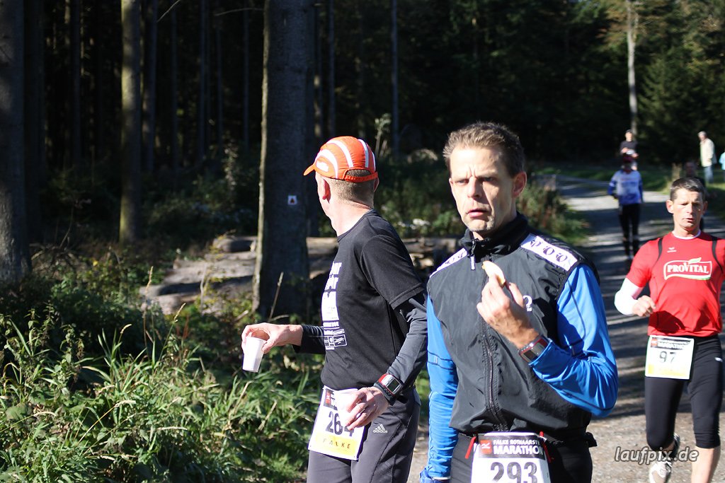 Rothaarsteig-Marathon 2011 - 172