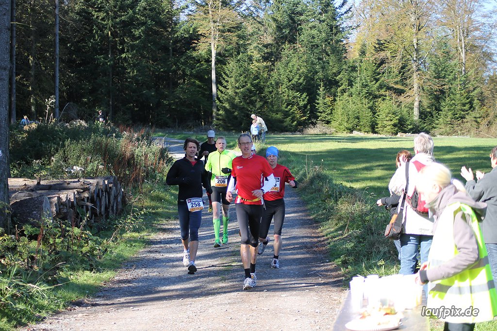 Rothaarsteig-Marathon 2011 - 181