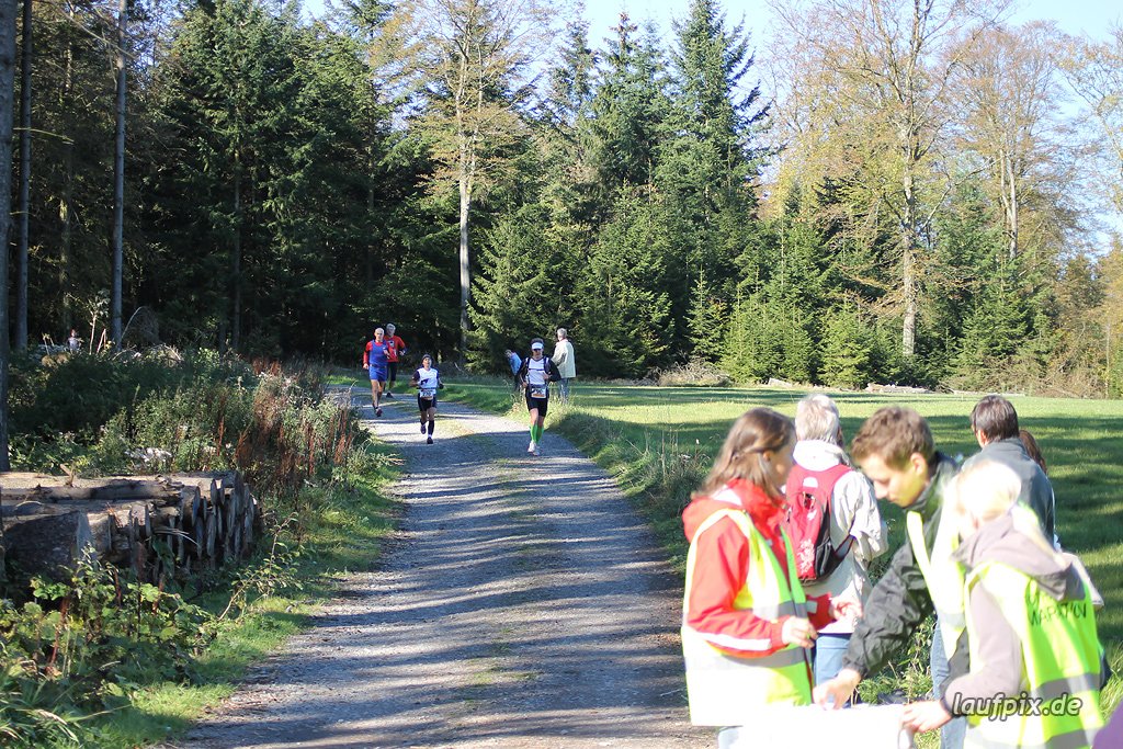 Rothaarsteig-Marathon 2011 - 214