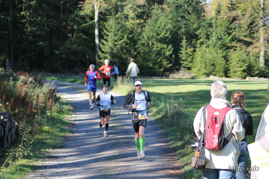 Rothaarsteig-Marathon 2011 - 218