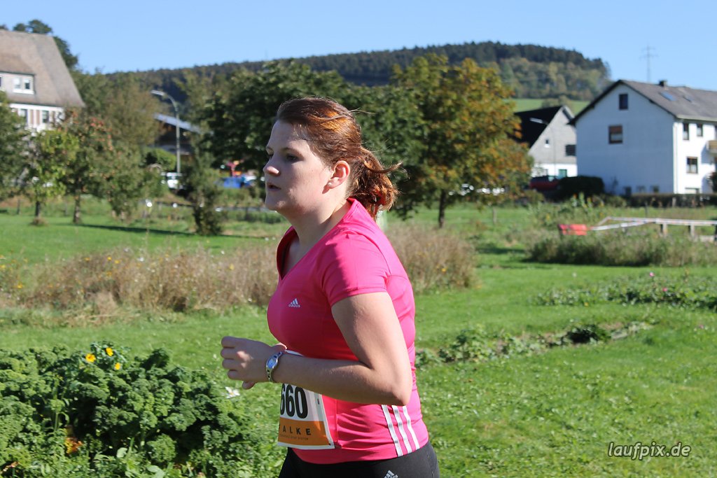 Rothaarsteig-Marathon 2011 - 240