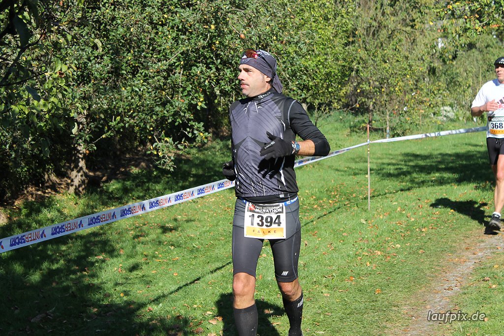 Rothaarsteig-Marathon 2011 - 300