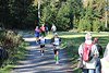 Rothaarsteig-Marathon 2011 (60778)