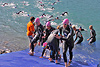 Triathlon Alpe d'Huez - Swim 2013 (78224)