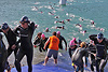 Triathlon Alpe d'Huez - Swim 2013 (78476)