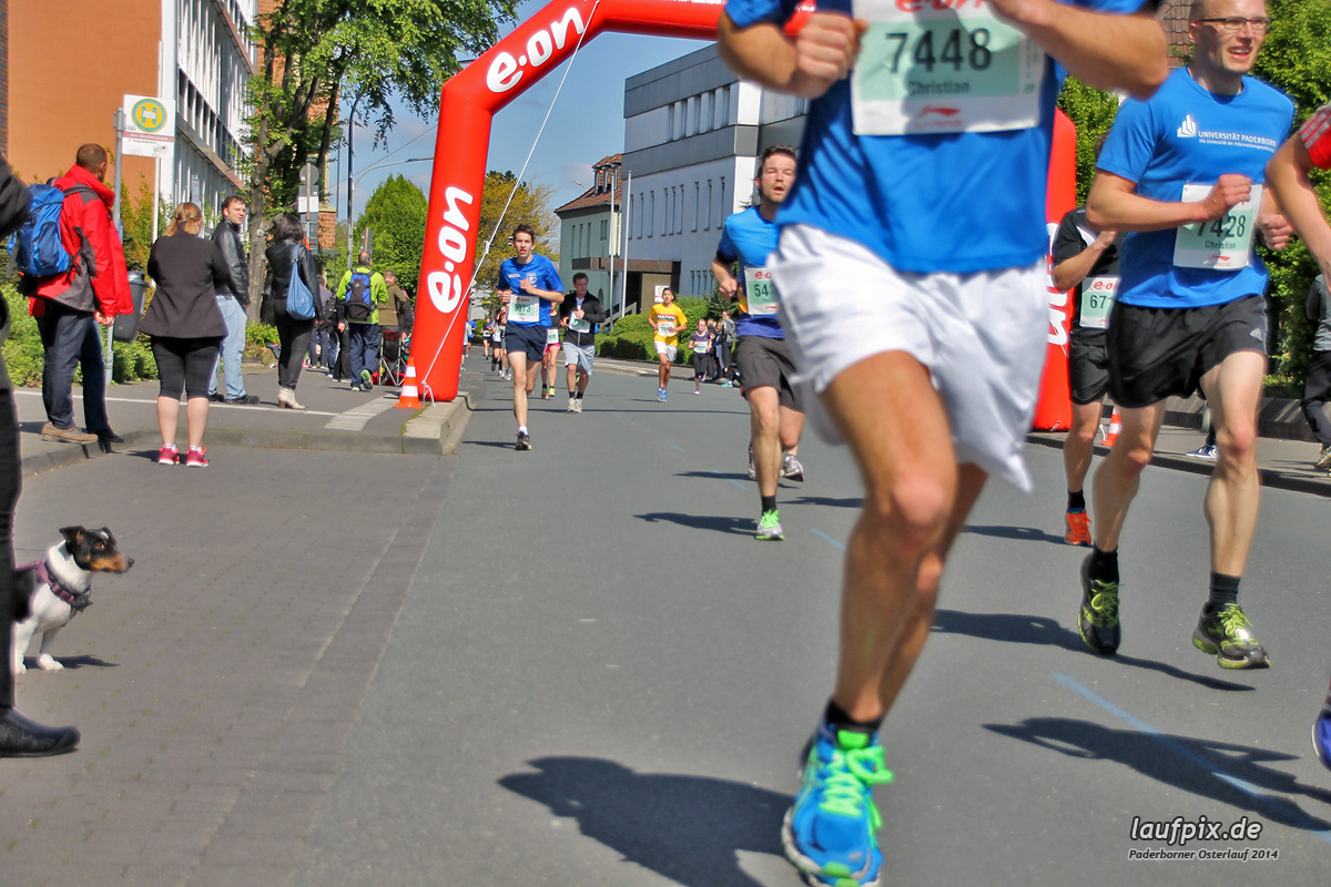 Paderborner Osterlauf 5km 2014 - 201