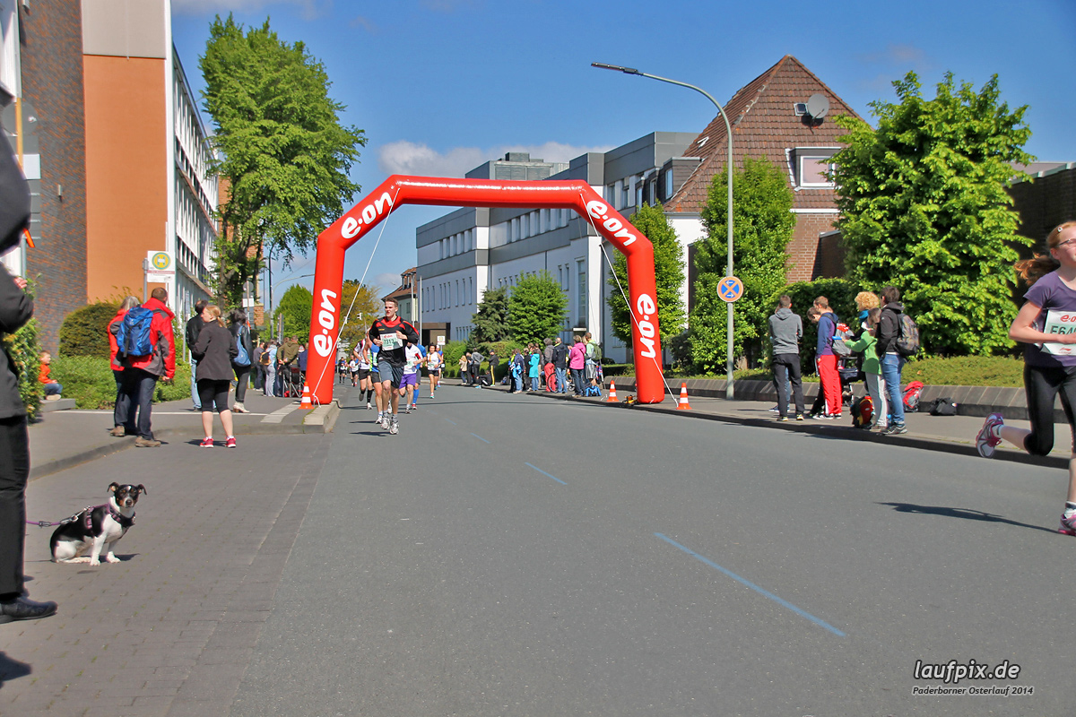 Paderborner Osterlauf 5km 2014 - 212