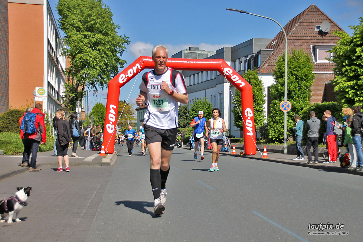 Paderborner Osterlauf 5km 2014 - 217