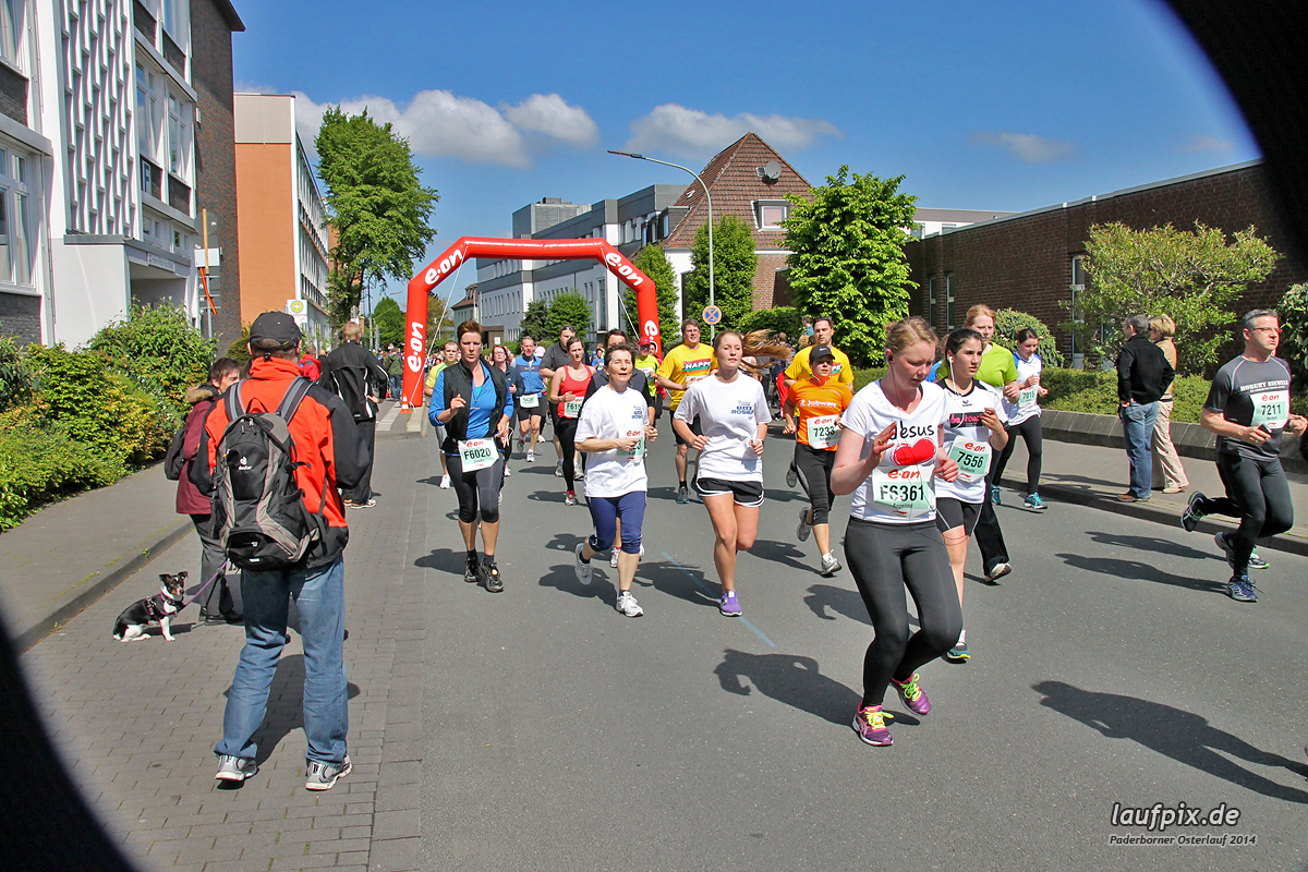 Paderborner Osterlauf 5km 2014 - 621