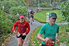 Foto vom Rothaarsteig Marathon 2017 - 126450