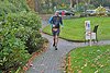Rothaarsteig Marathon KM12 2017 (126399)
