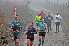 Foto vom Rothaarsteig Marathon 2017 - 126786