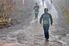 Foto vom Rothaarsteig Marathon 2017 - 126763