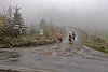Rothaarsteig Marathon KM17 2017 (126931)