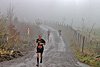 Rothaarsteig Marathon KM17 2017 (127061)