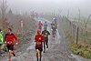 Rothaarsteig Marathon KM17 2017 (126994)