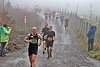 Rothaarsteig Marathon KM17 2017 (127027)