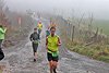 Rothaarsteig Marathon KM17 2017 (126943)