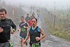 Rothaarsteig Marathon KM17 2017 (127096)