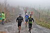 Rothaarsteig Marathon KM17 2017 (126794)