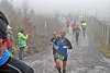 Rothaarsteig Marathon KM17 2017 (126855)