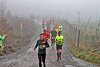 Rothaarsteig Marathon KM17 2017 (126830)