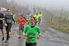 Rothaarsteig Marathon KM17 2017 (127046)