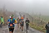 Rothaarsteig Marathon KM17 2017 (126765)