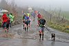 Rothaarsteig Marathon KM17 2017 (127016)