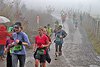 Rothaarsteig Marathon KM17 2017 (126892)