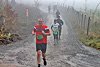Rothaarsteig Marathon KM17 2017 (126890)