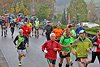 Rothaarsteig Marathon Start 2017 (127298)