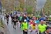 Rothaarsteig Marathon Start 2017 (127290)
