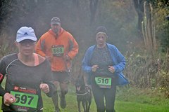 Foto vom Rothaarsteig Marathon 2017 - 127242