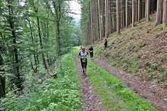 Foto vom Sauerland Höhenflug Trailrun 2018 - 142727