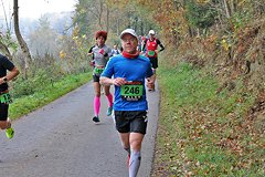 Foto vom Rothaarsteig Marathon 2018 - 144410