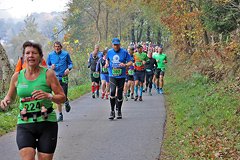 Foto vom Rothaarsteig Marathon 2018 - 144212