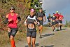 Rothaarsteig Marathon 2018 (145620)