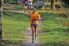 Foto vom Rothaarsteig Marathon 2018 - 146493
