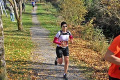 Foto vom Rothaarsteig Marathon 2018 - 146231