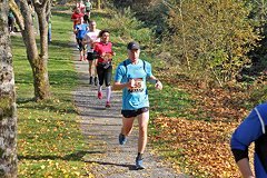 Foto vom Rothaarsteig Marathon 2018 - 146188