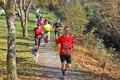 Foto vom Rothaarsteig Marathon 2018 - 146229
