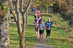 Foto vom Rothaarsteig Marathon 2018 - 145892