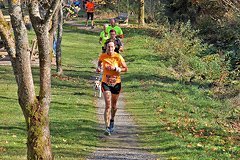 Foto vom Rothaarsteig Marathon 2018 - 146490
